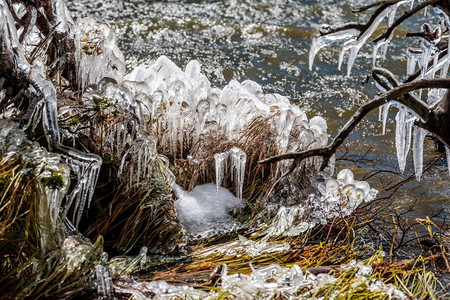 秋天的湖水。树木和草地上的冰柱是由风和水造成的。美国科罗拉多州落基山国家公园。