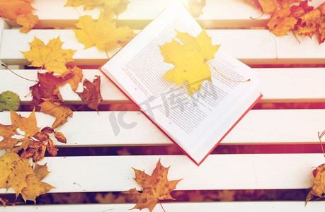 季节、教育和文学理念秋季公园的板凳上打开书。在秋季公园的长凳上打开书