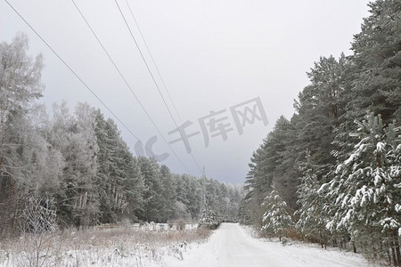 白雪覆盖的林路，冬季的风景