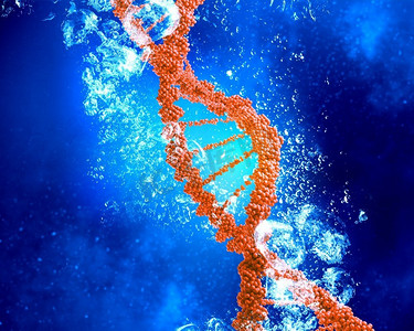 水中的DNA分子。清澈晶蓝的水中的DNA分子