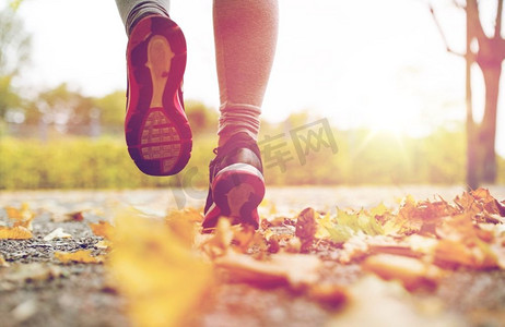 运动、健身、慢跑、秋季