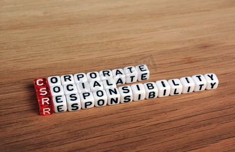 CSR企业社会责任缩写木头立方体