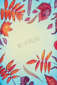 金色创意边框摄影照片_美丽的秋天季节构图，以各种五颜六色的秋叶为蓝绿色背景，俯视，边框