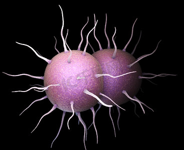 感染摄影照片_淋病奈瑟氏菌。淋病奈瑟菌是性传播感染淋病的致病菌。3D插图