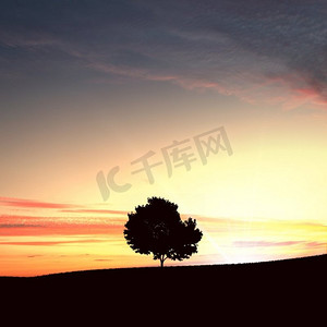 树背景绿色摄影照片_夕阳下孤零零的树在天空的背景下