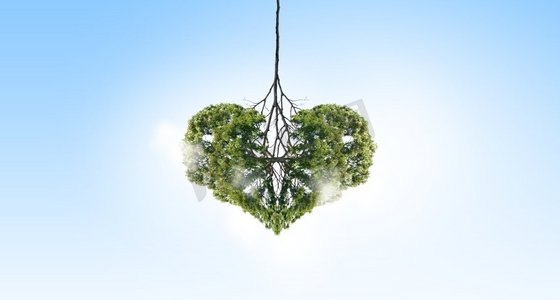心形绿色树摄影照片_由于空气污染。心形绿树的概念形象