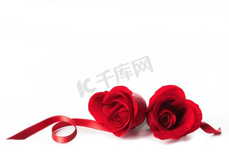 情人节，白色背景上孤立的两朵心形红玫瑰和丝带