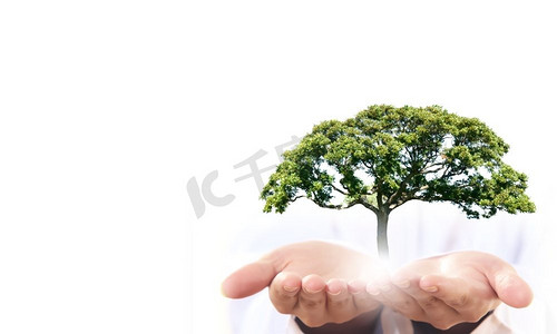 我们热爱大自然。人类手握绿树的特写