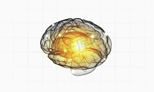 白底人脑智商概念。人脑