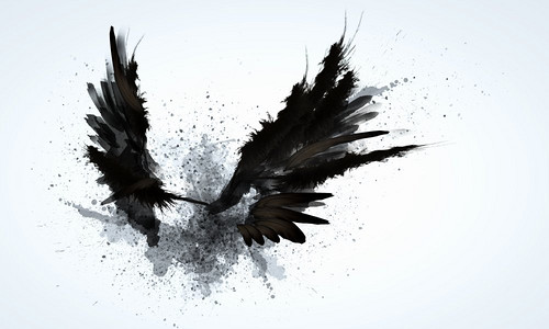 黑色的翅膀抽象形象的黑色翅膀对轻背景