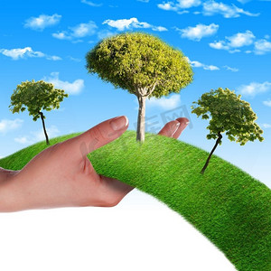 手中，一行行青草，树木映衬着蓝天。环境保护的象征