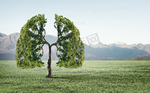 人类伐树摄影照片_由于空气污染。绿树形似人肺的概念形象
