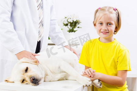 宠物诊所摄影照片_兽医诊所的狗。拉布拉多躺在桌子上接受兽医检查