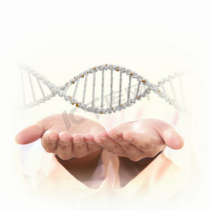 DNA链的图像。人手背景下的DNA链图像