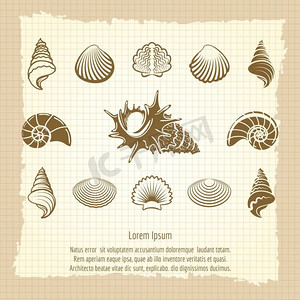 复古海贝壳剪影集。老式海贝壳剪影设置在笔记本页面。海洋复古海报矢量插图