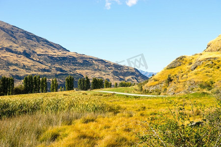 风景如画。新西兰阿尔卑斯山和草地的自然景观