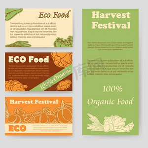 丰收海报摄影照片_丰收节和环保食品传单。丰收节和生态食品传单及个人卡片模板向量