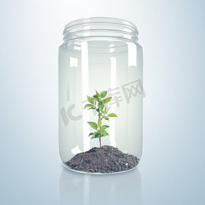 树芽发芽摄影照片_绿芽和土壤内的玻璃罐