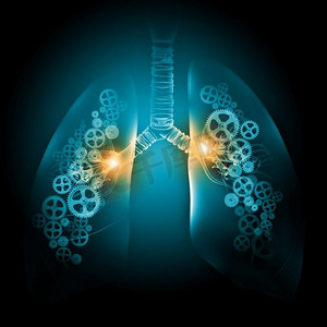 吸烟的肺部摄影照片_人类的肺。具有齿轮式机构的人体肺部插图