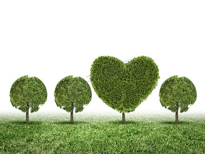 心形绿色树摄影照片_我们热爱我们的星球。心形绿色植物的概念形象
