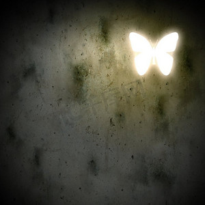 蝴蝶。暗背景上有蝴蝶的背景图像