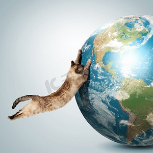 暹罗猫在玩。暹罗猫玩弄地球仪的画面。这张图片的要素由美国宇航局提供