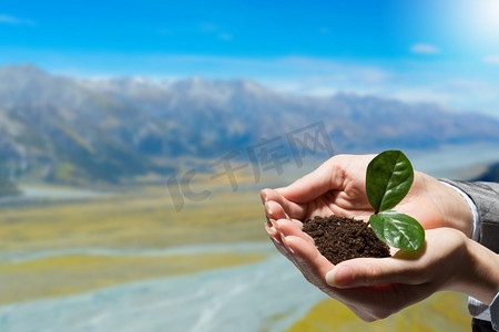 春天萌芽摄影照片_对大自然的关爱。女商人的手小心翼翼地牵着泥土里的绿芽