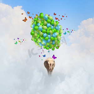 会飞的大象。大象骑着一串五颜六色的气球在天空中飞翔