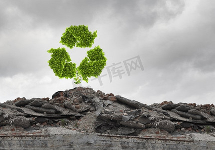 回收概念。概念形象与回收绿色标志的废墟上生长