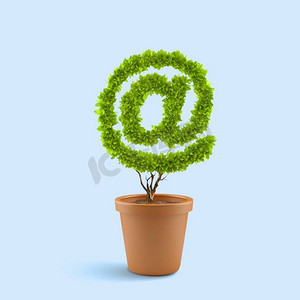 电子邮件概念。形状像AT符号的盆栽植物形象