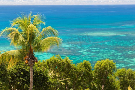 旅游，风景，自然概念-从棕榈树岛屿到印度洋的景观。从有棕榈树的岛屿上眺望印度洋