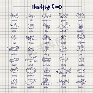 笔记本页上的健康食品。健康食品在笔记本页面上设置矢量。素描风格的食品插图