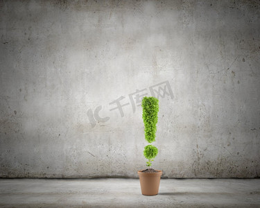植物图标摄影照片_警告标记。感叹号形状的盆中植物的概念形象