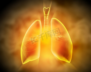 人体器官背景摄影照片_人体肺部的示意图。人体肺部的示意图，在彩色背景上有不同的元素。拼贴画。