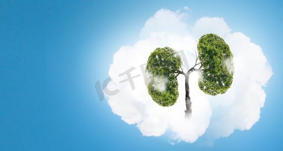 大气污染摄影照片_大气污染.绿色的树形状像人的肺的概念图像