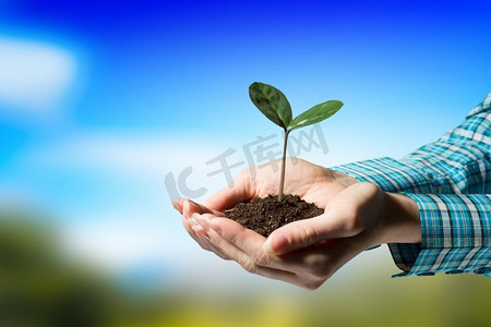 用爱和关怀，你会让它成长。女性手拿着绿色芽与土壤在手掌