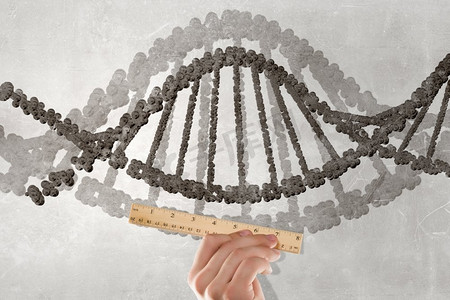 DNA分子。男性手持直尺测量DNA分子的特写