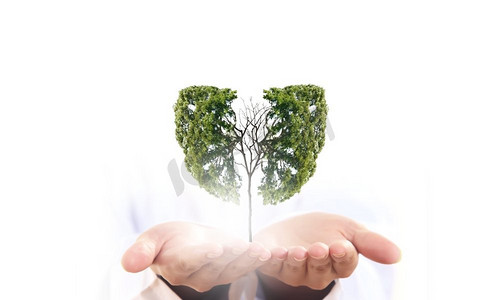 eco摄影照片_大气污染.绿树的概念图像在手中形状像人的肺