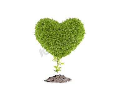 我们热爱我们的星球。心形绿色植物的概念形象
