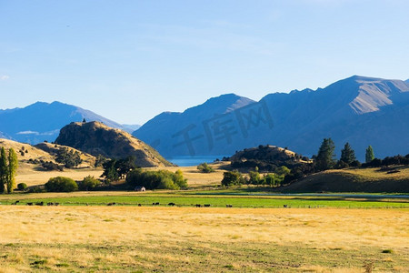风景如画。新西兰阿尔卑斯山和田野的自然景观
