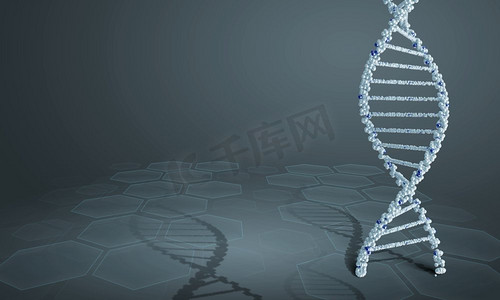 灰色科技摄影照片_DNA分子。高科技DNA分子的生物化学背景概念