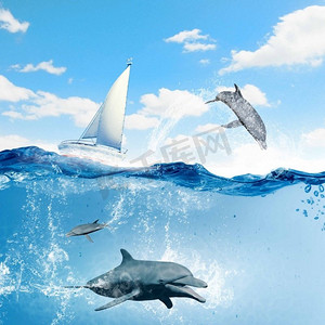 游艇运动漂浮的游艇和海豚在水下游泳