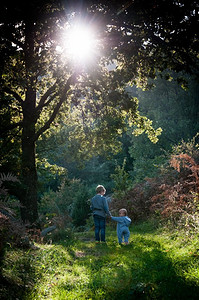 神奇的宝贝摄影照片_孩子们一起走在阳光明媚的林地里