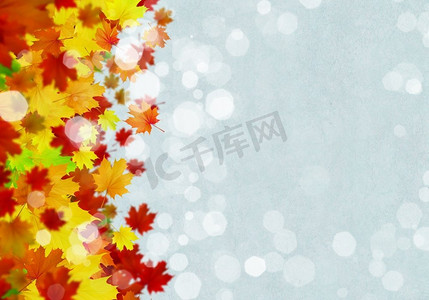 秋天的落叶与秋天叶子的背景概念图象.文本位置