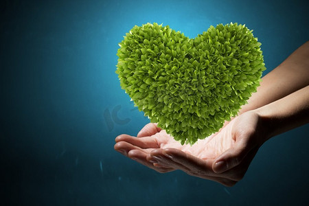 少先队代表大会摄影照片_绿色的心在手。绿色之心在人手中，代表生态健康理念