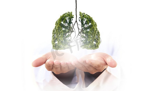 大气污染摄影照片_大气污染.绿树的概念图像在手中形状像人的肺