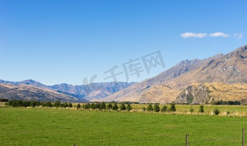 风景如画。新西兰阿尔卑斯山和草地的自然景观