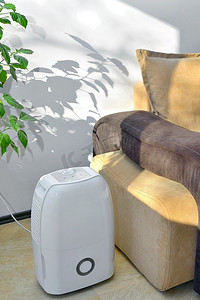 便携式除湿器从客厅内的空气中收集水