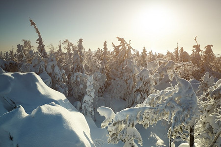 童话冬季景观与白雪覆盖的树木。奇妙的冬季景观。戏剧性的阴天。美丽的世界多雪的森林的