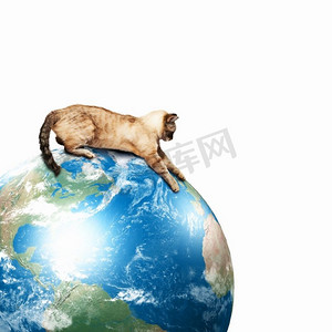 暹罗猫在玩。暹罗猫玩弄地球仪的画面。这张图片的要素由美国宇航局提供
